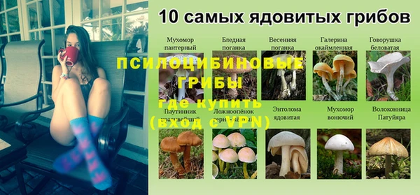 амф Алексин