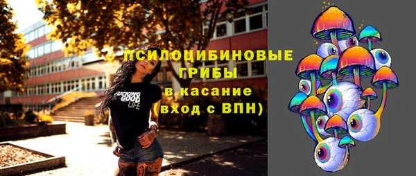 амф Алексин