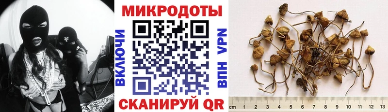 OMG сайт  Лукоянов  Галлюциногенные грибы Psilocybine cubensis 